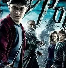 Hermione Granger est une idiote qui ne lit jamais.