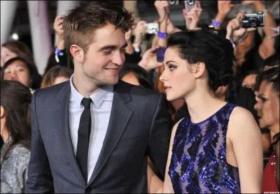 Comment s'appellent les 2 acteurs qui jouent avec lui dans la saga ?