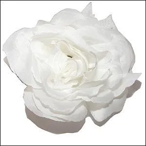 Comment dit-on blanc ?