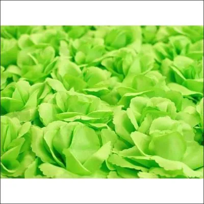 Comment dit-on vert ?