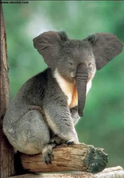 Sur cette image, tu vois :