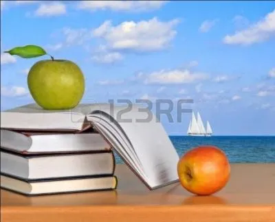 Qui a crit  Les travailleurs de la mer  ?