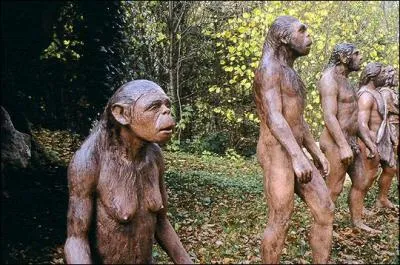 L'homme de cro magnon fabriquait la pointe de ses sagaies en os ou en bois de cervids au dbut de la dernire glaciation.