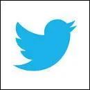 Quel est cet oiseau qui provient d'un trs clbre rseau social ?