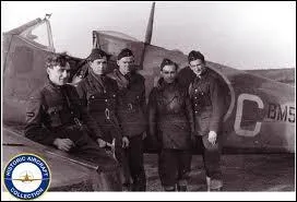 D'o venait la majeure partie des pilotes trangers de la RAF ?