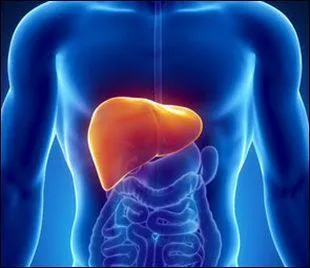 Quelle branche de la mdecine s'intresse aux maladies du foie ?