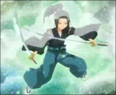 Comment s'appelle cette transformation ?