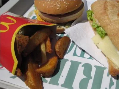 De quelle marque vient cette nourriture ?