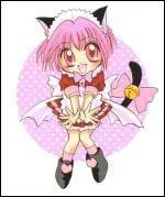 Dans la srie  Mew Mew , comment s'appelle le personnage principal ?