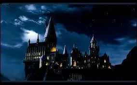 Dans quelle cole va Harry Potter ?