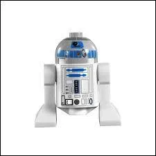 Nous finissons ce quiz avec deux drodes. Voici le premier, quel est son nom ?