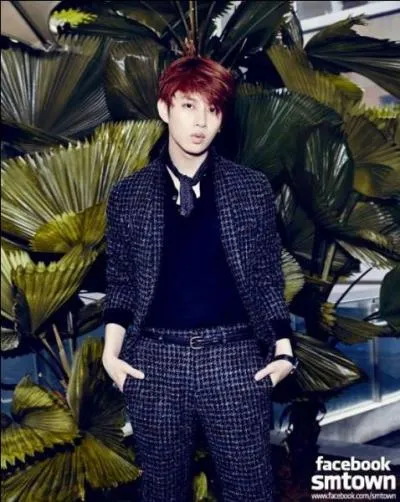 Lequel n'est pas le nom d'un des fanclubs de HeeChul ?