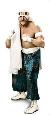 Qui est la superstar sur la photo ? (ECW)