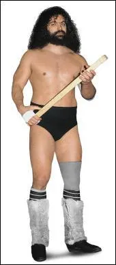 Qui est la superstar sur la photo ? (WWE)