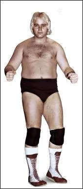 Qui est la superstar sur la photo ? (WWE)