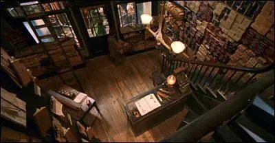 Est-ce la boutique d'Ollivander ?