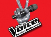 Quiz The Voice 2014