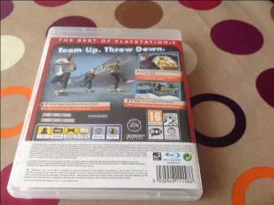 Quel est le plus grand Skate park ?