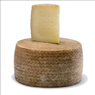Le manchego, fromage produit dans la rgion de Castille-La Manche est fabriqu  partir de lait de :