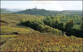 En Rioja et Navarre, quel est le grand cpage des vins rouges ?