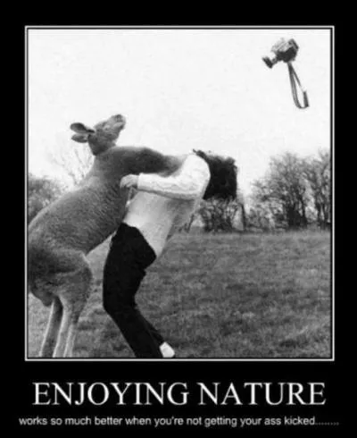 Une situation qui dgnre peut se terminer ...