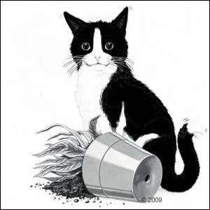 Quel est le prnom de ce minou, qui nous ramne automatiquement  une marque d'aliments pour chats ?