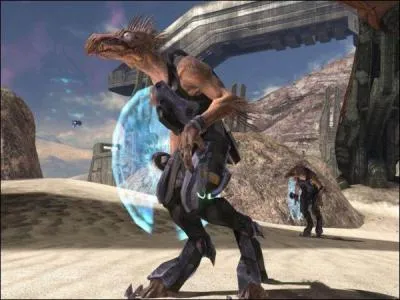 Quel est le nom moins connu des Rapaces ?