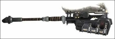 Quel est le nom de l'arme sur la photo ?