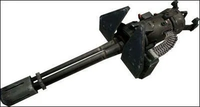 Quel est le nom de l'arme sur la photo ?