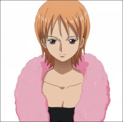 Dans l'quipage Nami est la ...