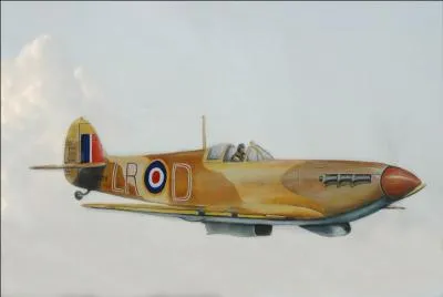  laquelle de ces campagnes le Spitfire ne participa-t-il pas ?