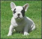 Qui sont mes parents?