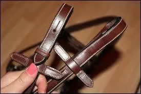 A quoi sert le couteau à parer ?