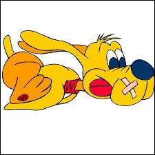 Je me dtends avec un quiz dans la rubrique  animaux  , voici la question :