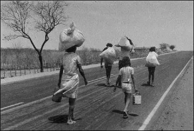 Qu'est-ce que l'exode rural ?