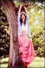 Je suis fan de Justin Bieber ; qui suis-je ?