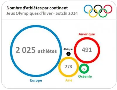 Seuls 3 tats africains ont particip aux Jeux olympiques d'hiver de Sotchi, avec en tout 5 athltes. Lesquels ?