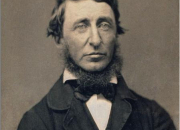 Quiz Thoreau, le rebelle pacifiste