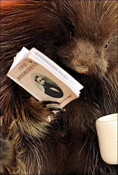 Philosophe, pote, crivain, enseignant, il se passionnait aussi pour un autre domaine, lequel ?