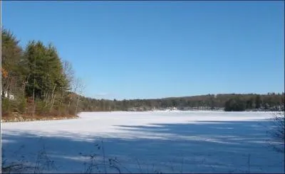Cet ouvrage a influenc durablement l'histoire amricaine et mondiale, si bien qu'on le considre aujourd'hui comme un pionnier et fondateur du mouvement :