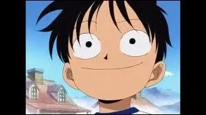 Il s'agit de Monkey D Luffy lorsqu'il tait enfant. De quel manga vient-il ?