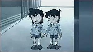Voici Kudo Shinichi et Mouri Ran issus du manga...