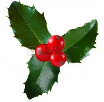 Le mot commence par : Br ...