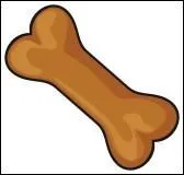 Le mot commence par : Br ...