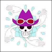 A qui appartient ce drapeau ?