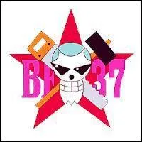 A qui appartient ce drapeau ?