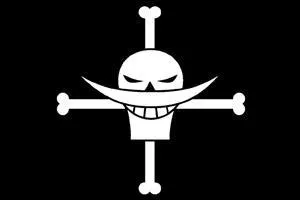 A qui appartient ce drapeau ?