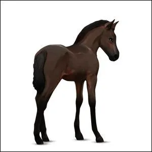 Quelle est la couleur de cette robe ?