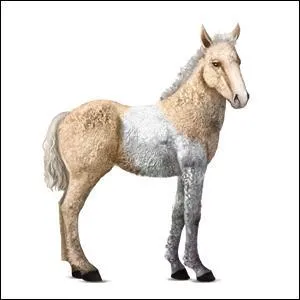 Quelle est la couleur de cette robe ?