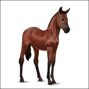 Quelle est la couleur de cette robe ?